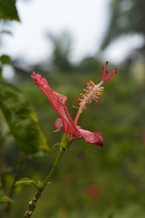 �й�Ǿޱ ľ��