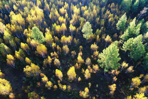 ��������ɫ�羰 �����ģ� 