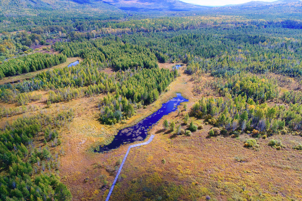 �ֺ�ʪ�غ����＾�羰 