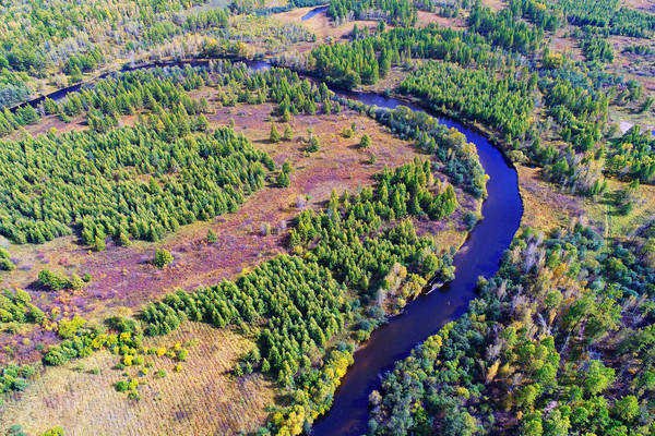 �ֺ��еĺ���羰 