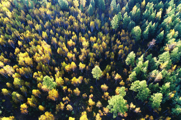 �＾������ �����ģ� 