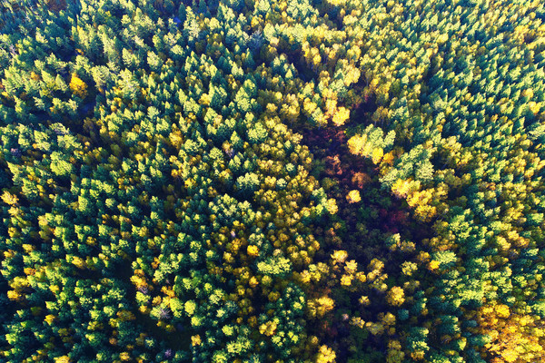 �＾�ֺ� �����ģ� 