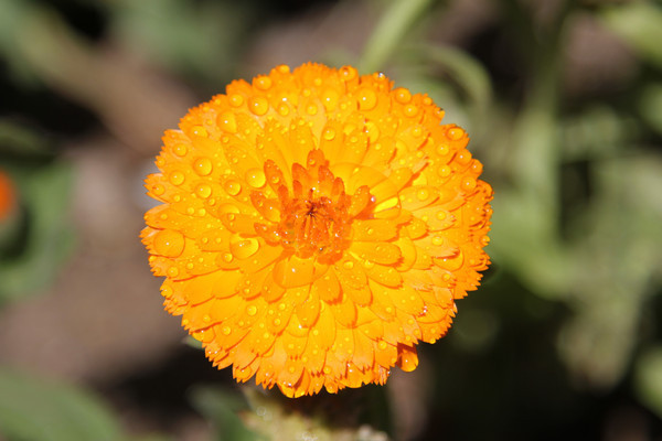 ���԰��ղ�