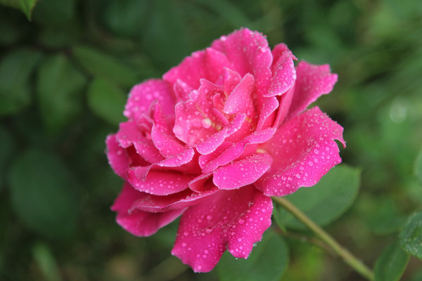 �ۺ컨���¶ˮ�¼���