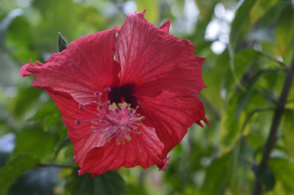 ���ɣ����