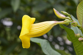 ��濻���д