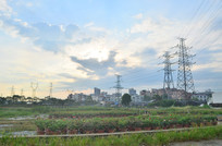 ������԰