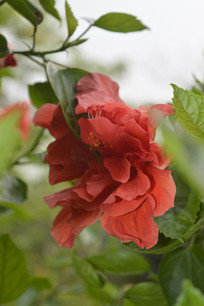 ˶����ذ�ɣ�Ȼ���