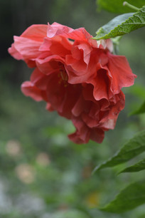 ˶����ذ����Ȼ���Ӱͼ