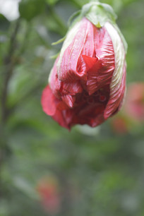 ˶����ذ�����ĵ��