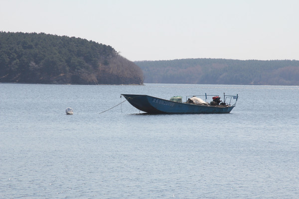 ͣ���ھ������ϵ�С��