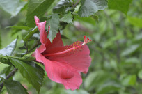 �ļ���ɣ���� 