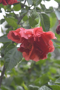 һ��˶������ɫ��ɣ��