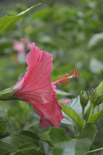 һ�����޵ķ�ɣ��