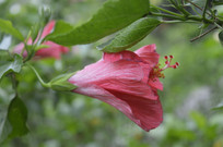 һ���ذ�����ĵ��