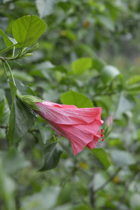 �ذ��ɫ����ĵ��