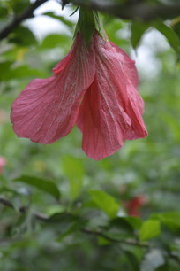 �ذ�����ĵ��