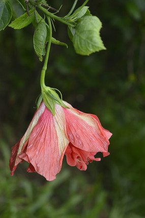 �ذ�����ĵ����д