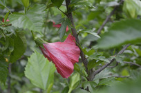 ���ȱ������¿�