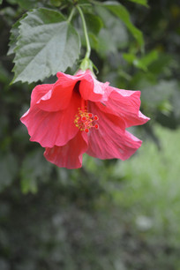 ����ĵ����Ӱͼ