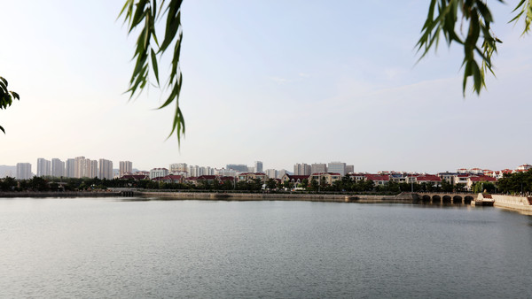 ��������Ⱥ