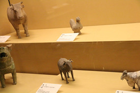 �������ռ�ţ��������ٸ