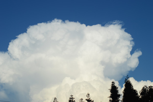 �����ϵ�Ģ����