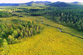 ɭ�ֲݵ�СϪ�羰 �����ģ�