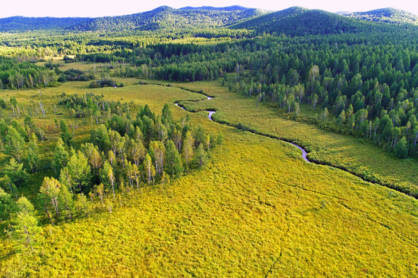 ɭ�ֲݵ�СϪ�羰 �����ģ�