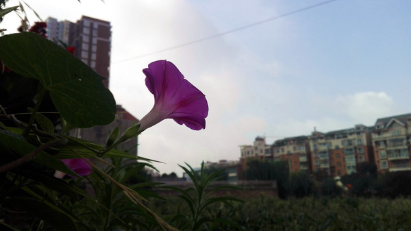 �����ʻ�