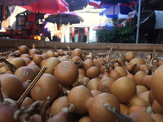 ���׹����ϵ�С��«