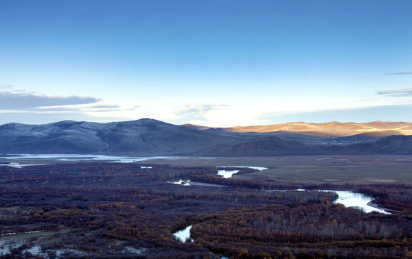 �������ʪ������