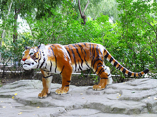 ����������