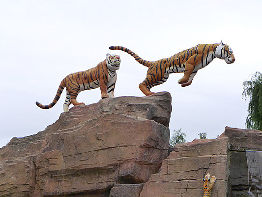 ����������Ծ