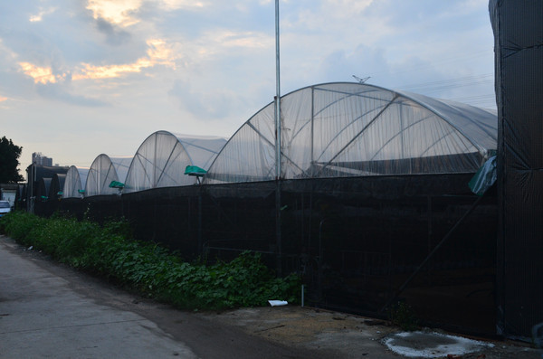 ���ҽ���ͼƬ