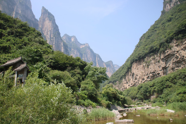 ���͵���