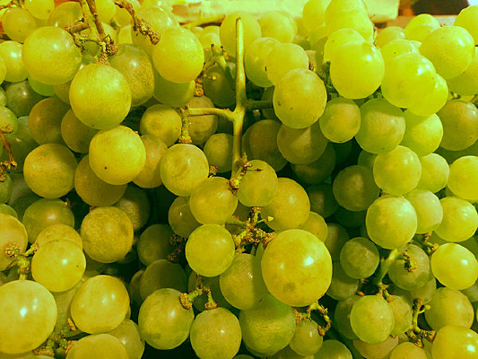 �ܶ�����