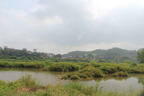 ��԰��ˮ��