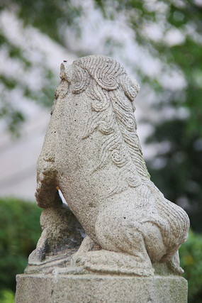 ���ʨ��ʯ����