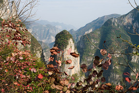 ��ɽ�ػ��Ҿ���������