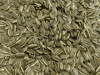 ���ӱ���