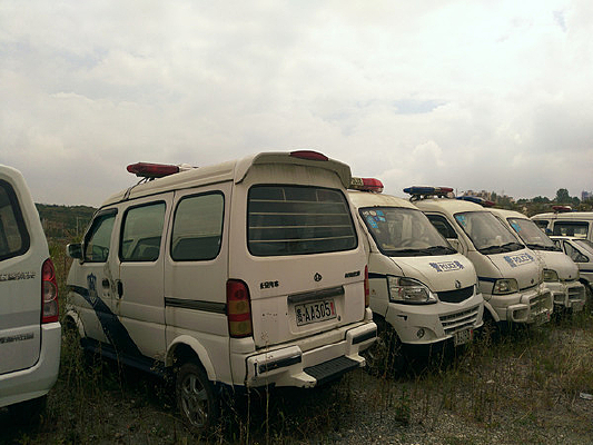 ����ͣ����