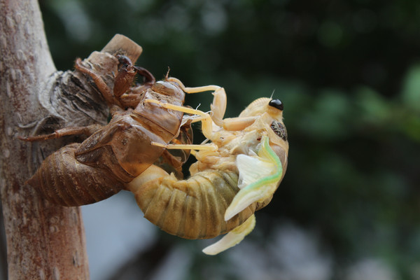 �����������ѿ�