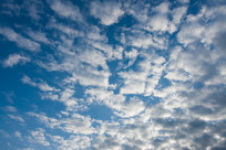 ���Ŀ���