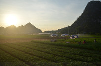 ũ����԰����