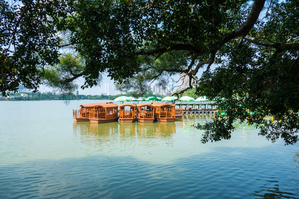 ͣ����ͷ����ͧ