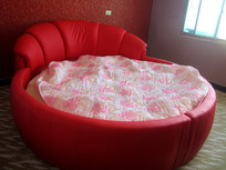 ��ɫ����