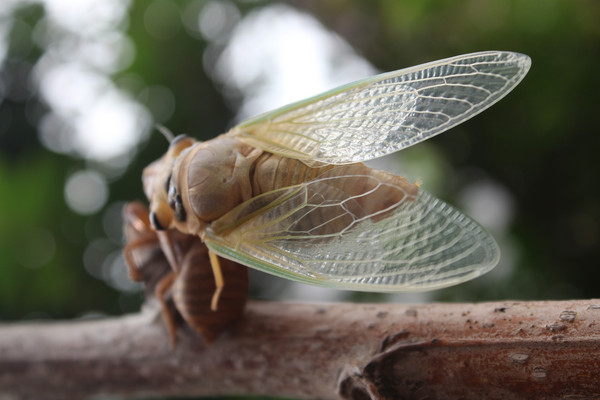 չ���֪�˺�