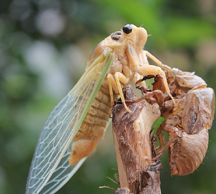 ֪�˺�ץ���Լ��Ŀ���