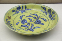 ���������Ҥ�Ƶػ�������